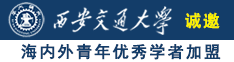 逼插进去舒服吗视频诚邀海内外青年优秀学者加盟西安交通大学